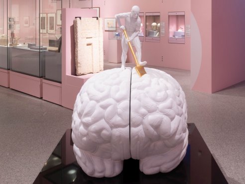 THE BRAIN. IN ART & SCIENCE