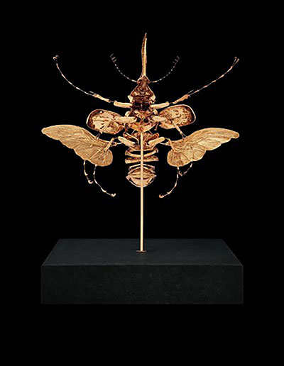 Jan Fabre. Chalcosoma. 