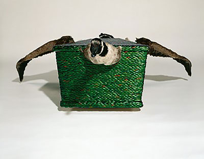 Jagers en gejaagden - insecten in de hedendaagse kunst