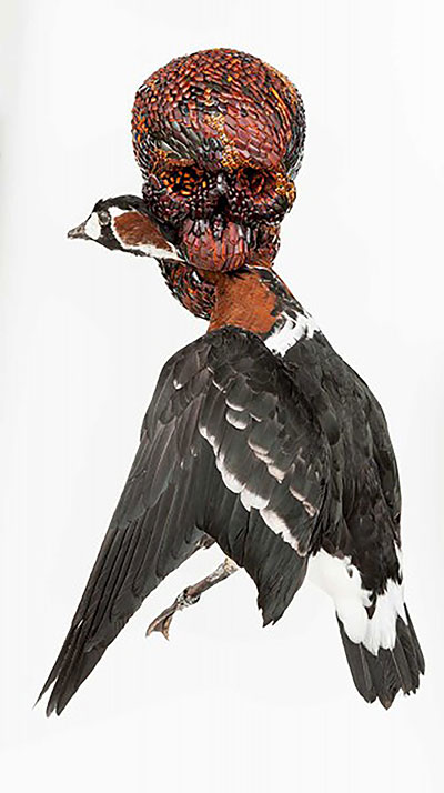 Skelet