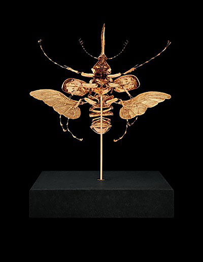 The Spiritual Sceptic