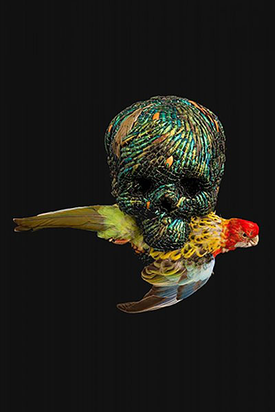 Wunderkammer
