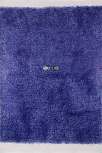 Jan Fabre. The Years of the Hour Blue.